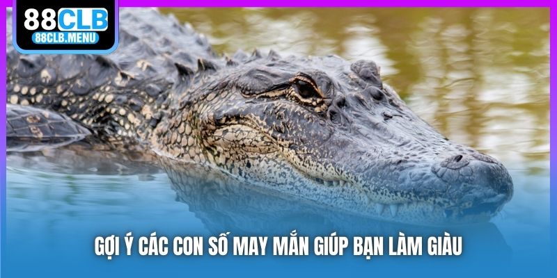 Gợi ý các con số may mắn giúp bạn làm giàu