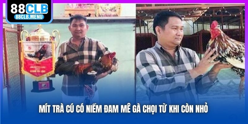 Mít Trà Cú có niềm đam mê gà chọi từ khi còn nhỏ