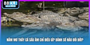 Nằm Mơ Thấy Cá Sấu Ám Chỉ Điều Gì? Đánh Số Nào Đổi Đời?