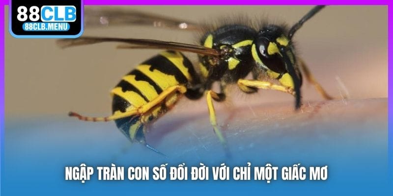 Ngập tràn con số đổi đời với chỉ một giấc mơ