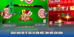 Cách Chơi Bài Tứ Sắc Cơ Bản Một Lính Mới Cần Nắm