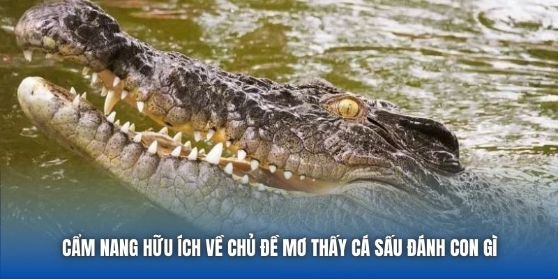 Cẩm nang hữu ích về chủ đề mơ thấy cá sấu đánh con gì