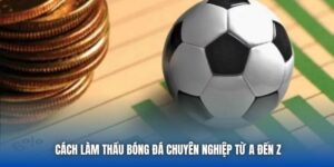Cách Làm Thầu Bóng Đá Chuyên Nghiệp Từ A Đến Z