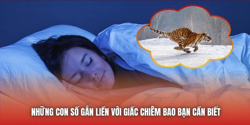 Những con số gắn liền với giấc chiêm bao bạn cần biết