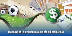 Thầu Bóng Đá Là Gì? Hướng Dẫn Cho Tân Thủ Mới Bắt Đầu
