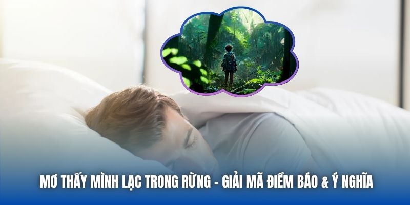 Mơ Thấy Mình Lạc Trong Rừng | Giải Mã Điềm Báo & Ý Nghĩa